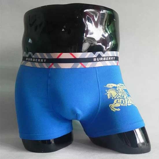 Boxer Homme Burberry Azul LH157